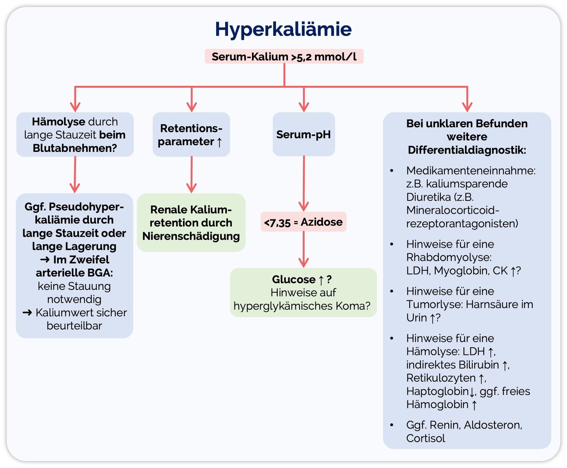 Kalium zu hoch: Was tun? Ursachen, Symptome und Behandlung einer Hyperkaliämie