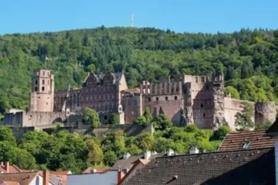 "Ansicht von Heidelberg mit Schloss und Häusern"